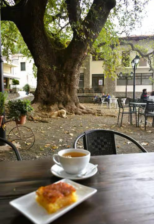Photo of Others in Tithorea