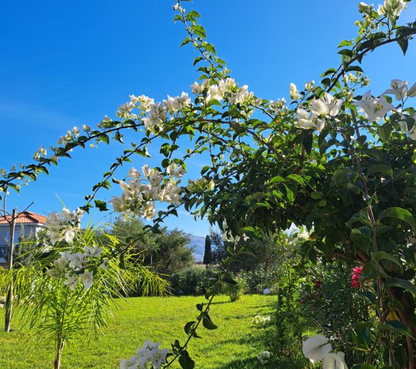 Photo of Outdoor in Kefalonia