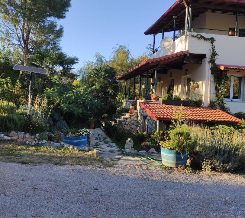 Photo of Others in Polidrosos