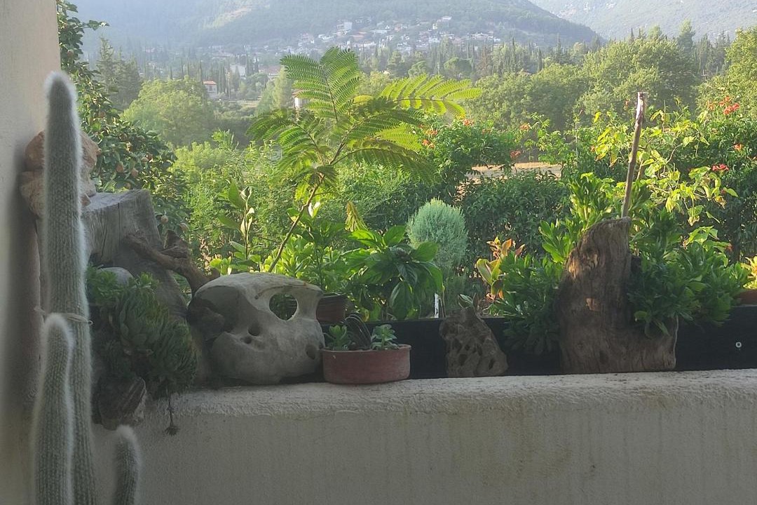 Photo of Patio Balcony in Polidrosos