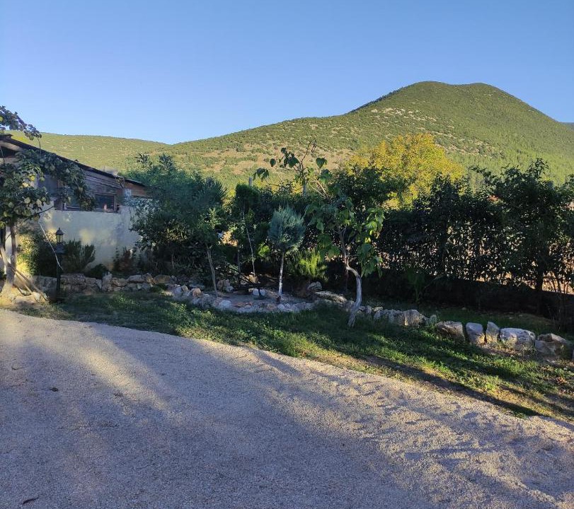 Photo of Others in Polidrosos