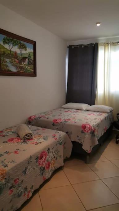 Photo of Bedroom in Coco