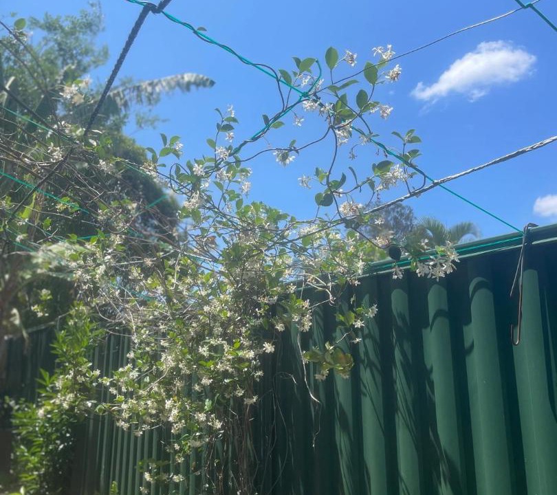 Photo of Outdoor in Rochedale South