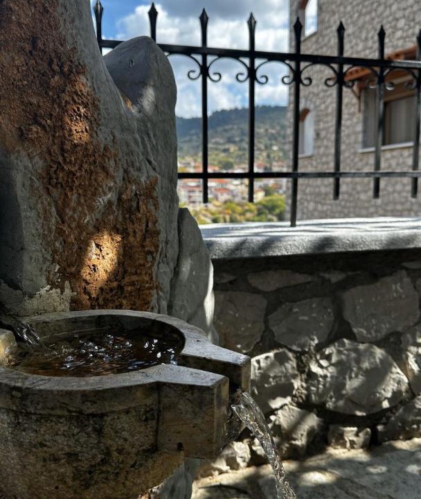 Photo of Others in Kyriaki