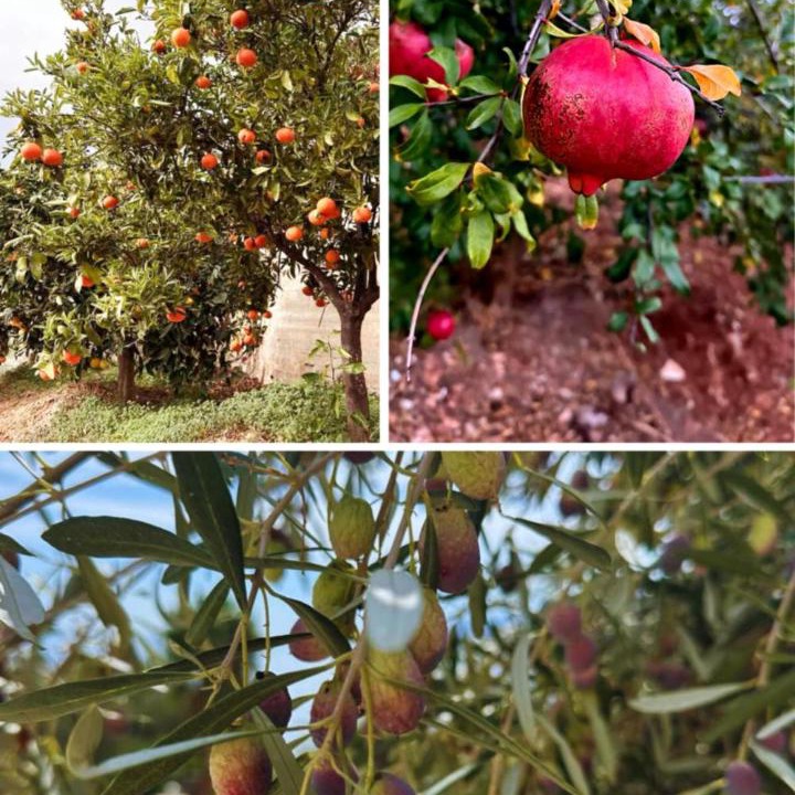 Photo of Outdoor in Kefalari