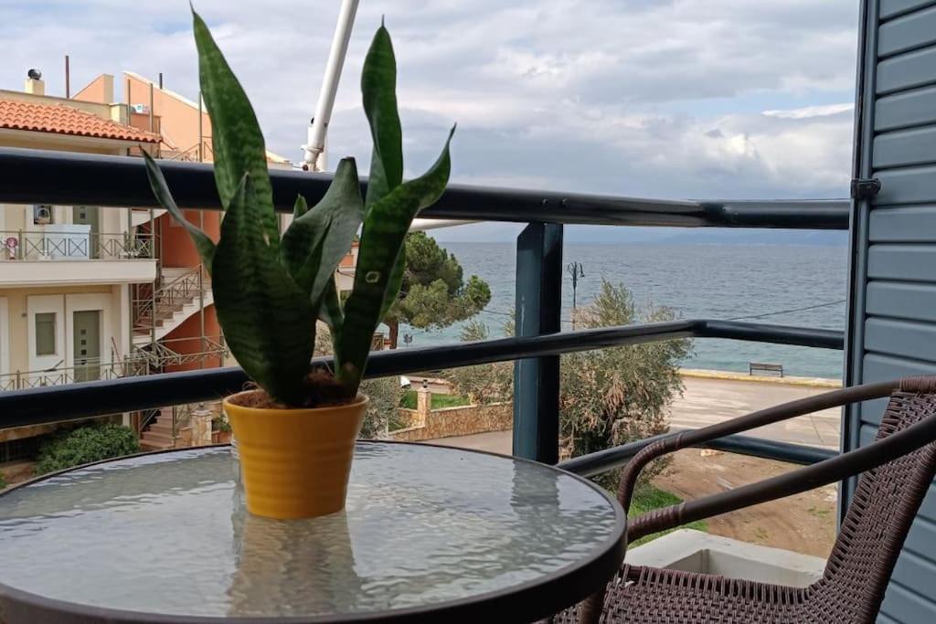 Photo of Patio Balcony in Arkitsa