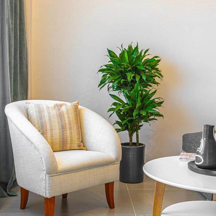 Photo of Livingroom in Chalcis