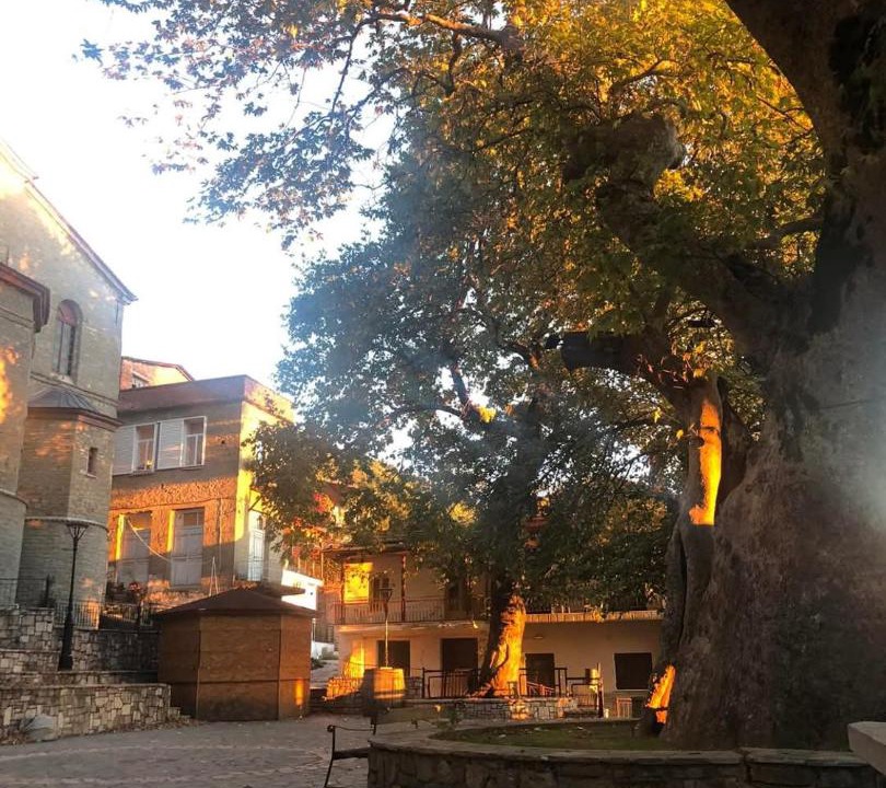 Photo of Others in Mesenikolas