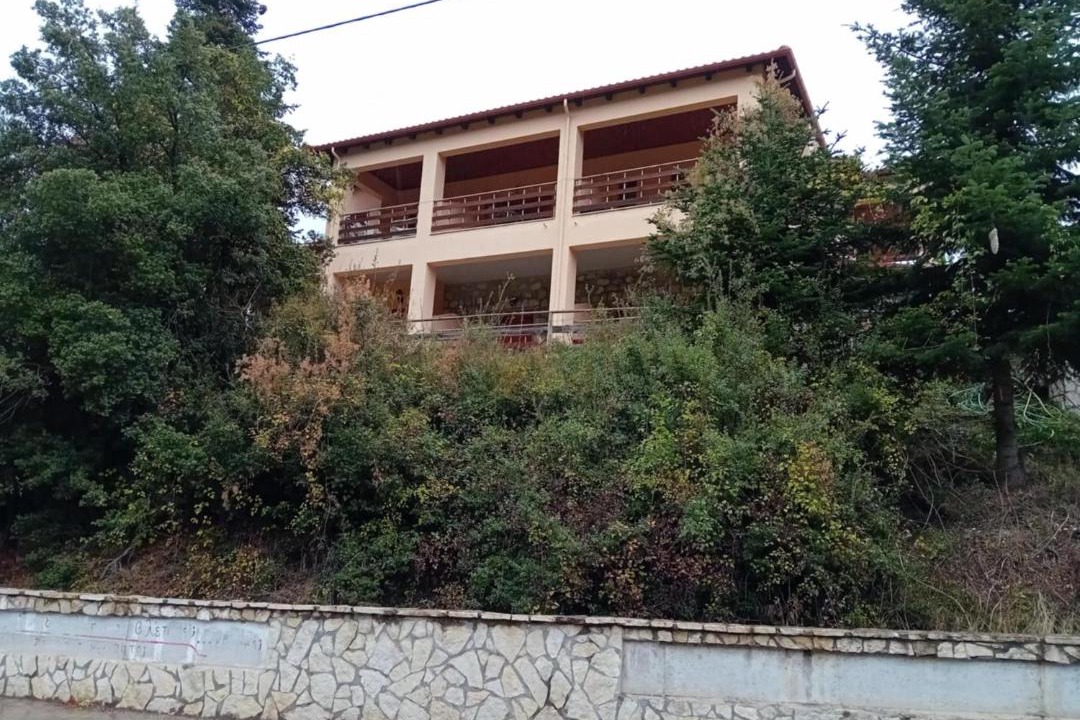 Photo of Others in Pavliani