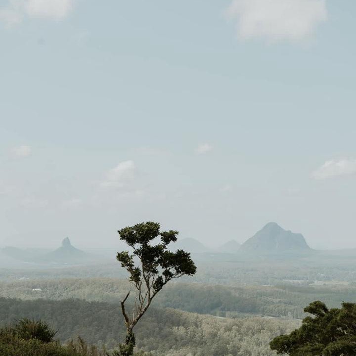 Photo of Others in North Maleny