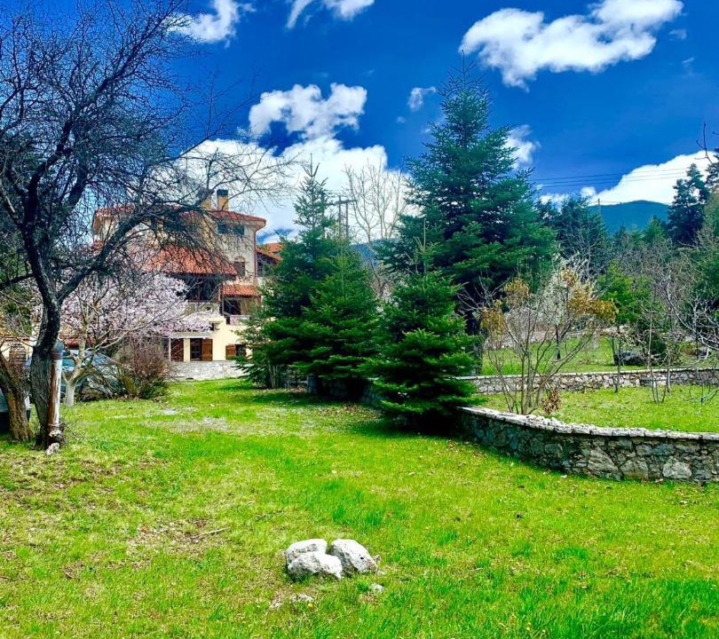 Photo of Others in Arachova
