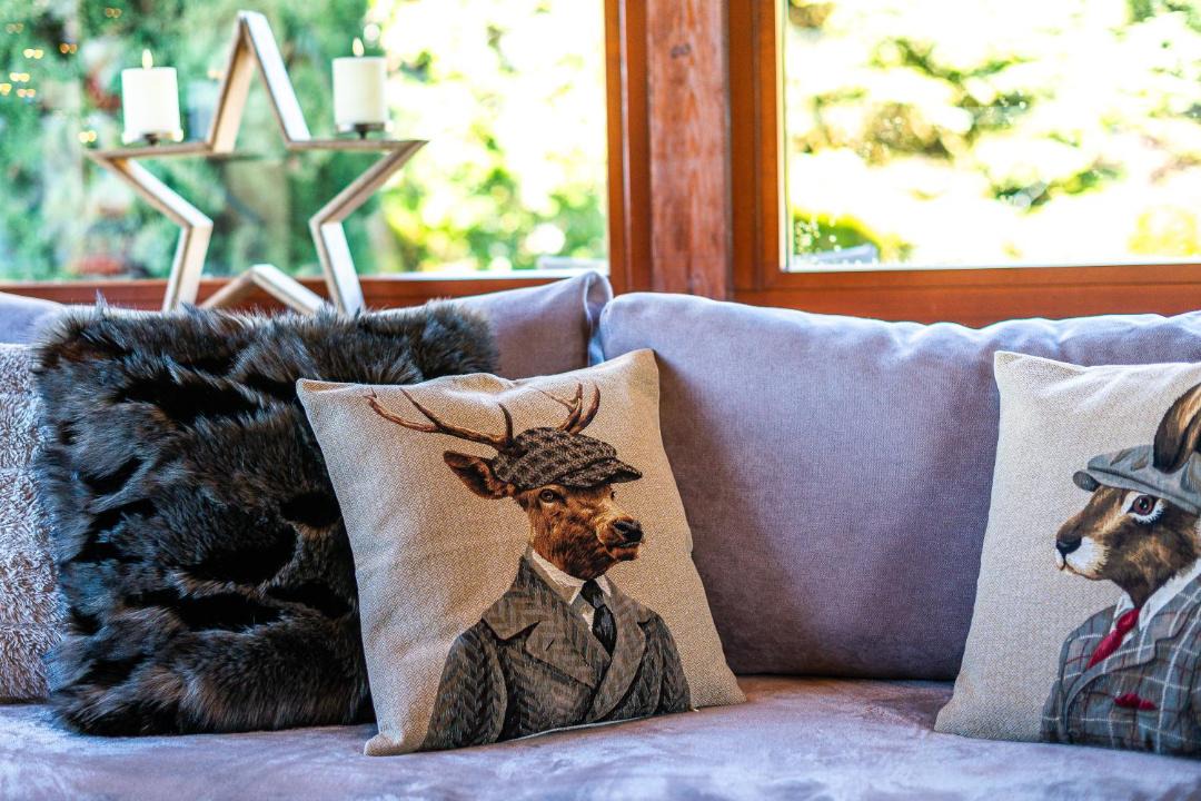 Photo of Livingroom in Arachova