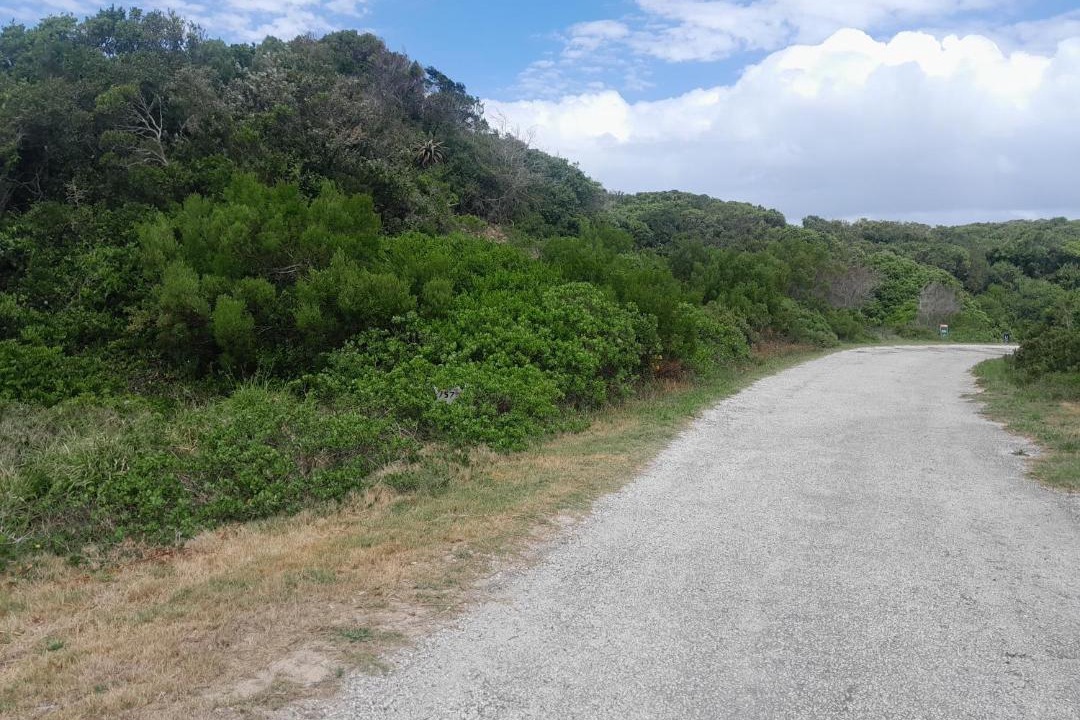 Photo of Outdoor in Boknes Strand