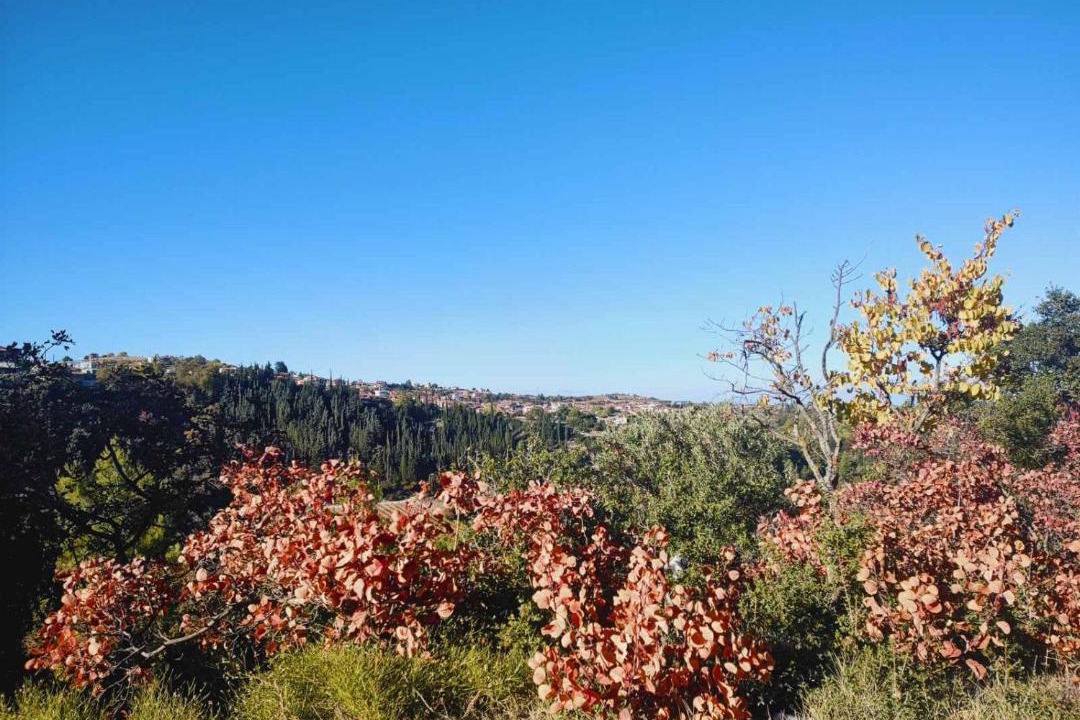 Photo of Others in Corinthia Region