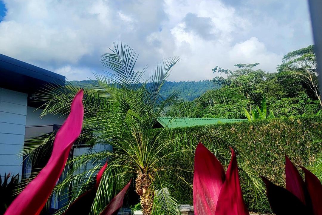 Photo of Others in Uvita
