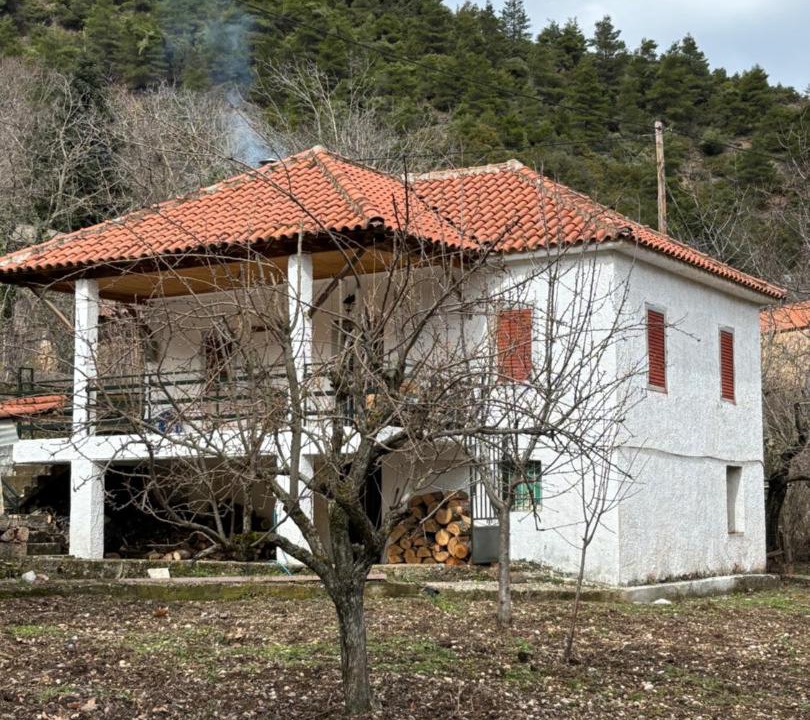 Photo of Others in Aigialeia