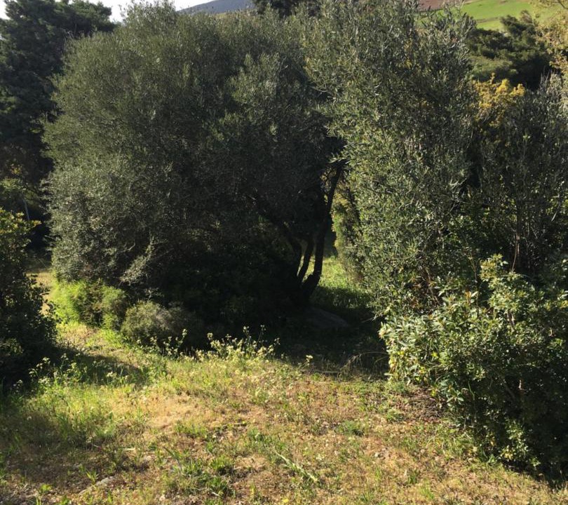 Photo of Outdoor in Marmari