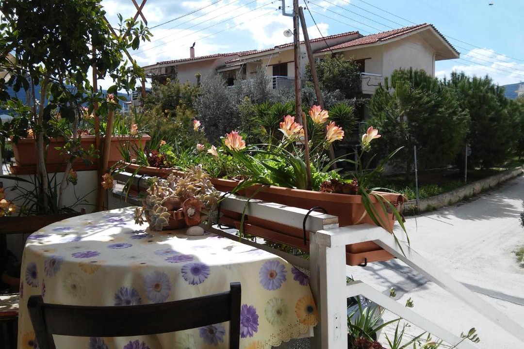 Photo of Others in Loutra Oraias Elenis