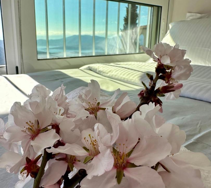 Photo of Bedroom in Delfoi