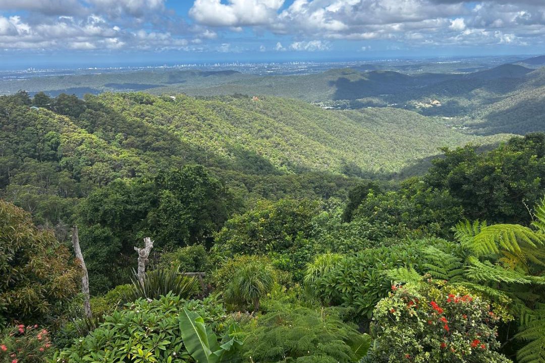 Photo of Others in Mount Tamborine