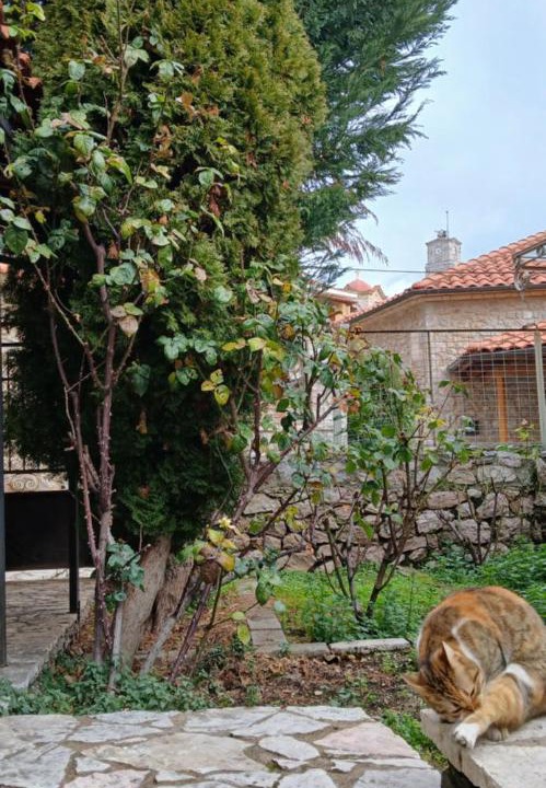 Photo of Others in Arachova