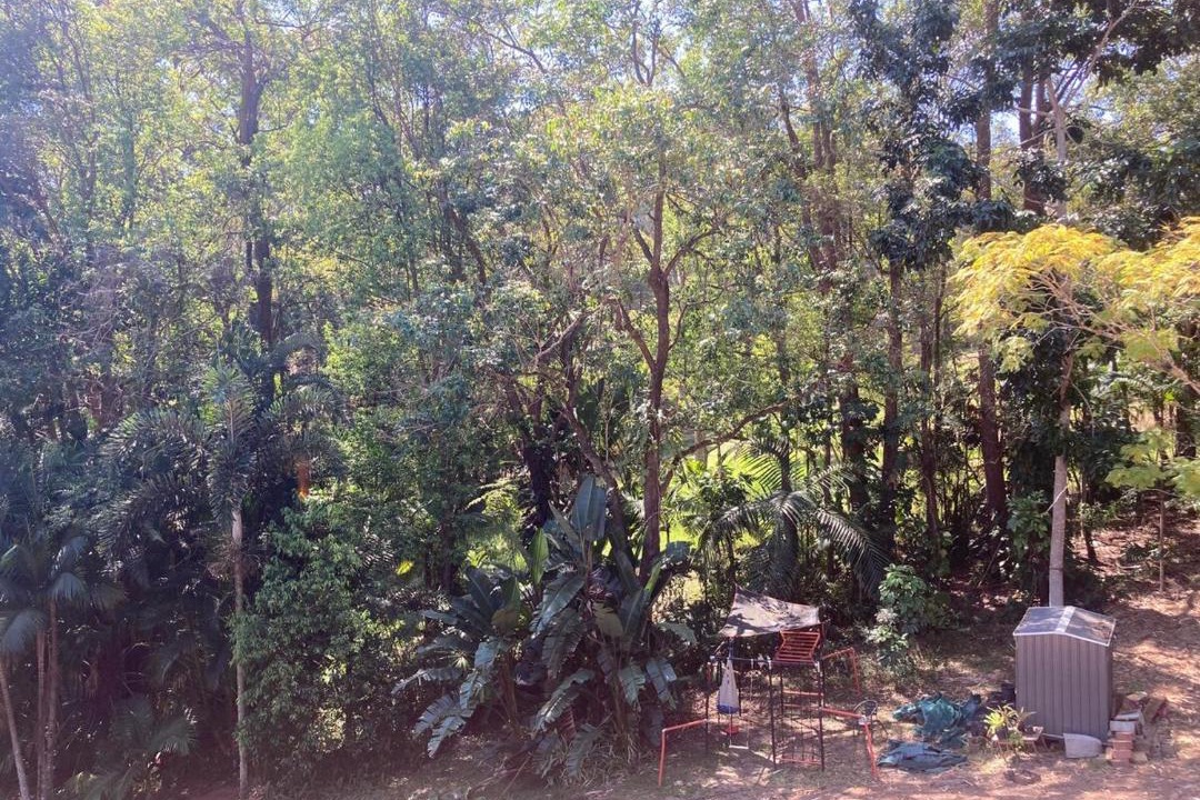 Photo of Others in Diddillibah