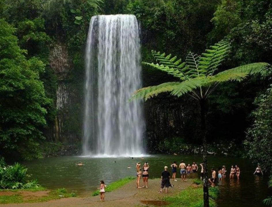 Photo of Others in Millaa Millaa