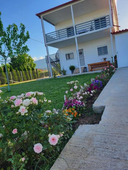 Photo of Buildings in Gomfoi