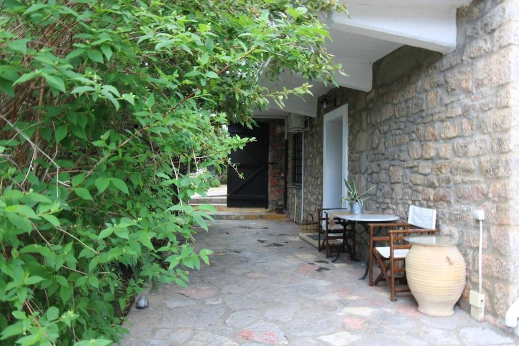 Photo of Others in Polidrosos