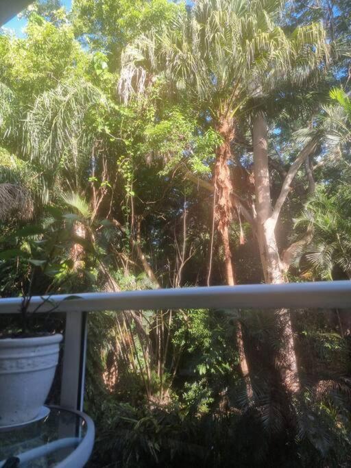 Photo of Others in Palm Cove