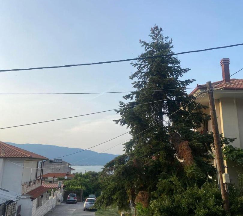 Photo of Others in Stavros