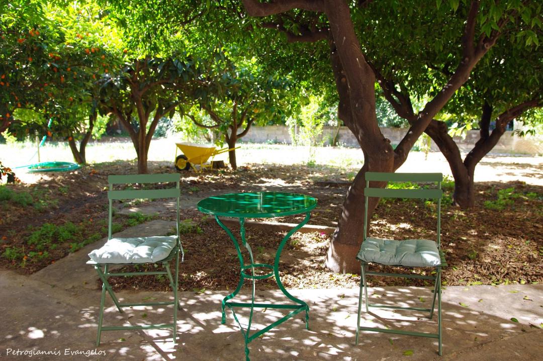 Photo of Others in Amarinthos