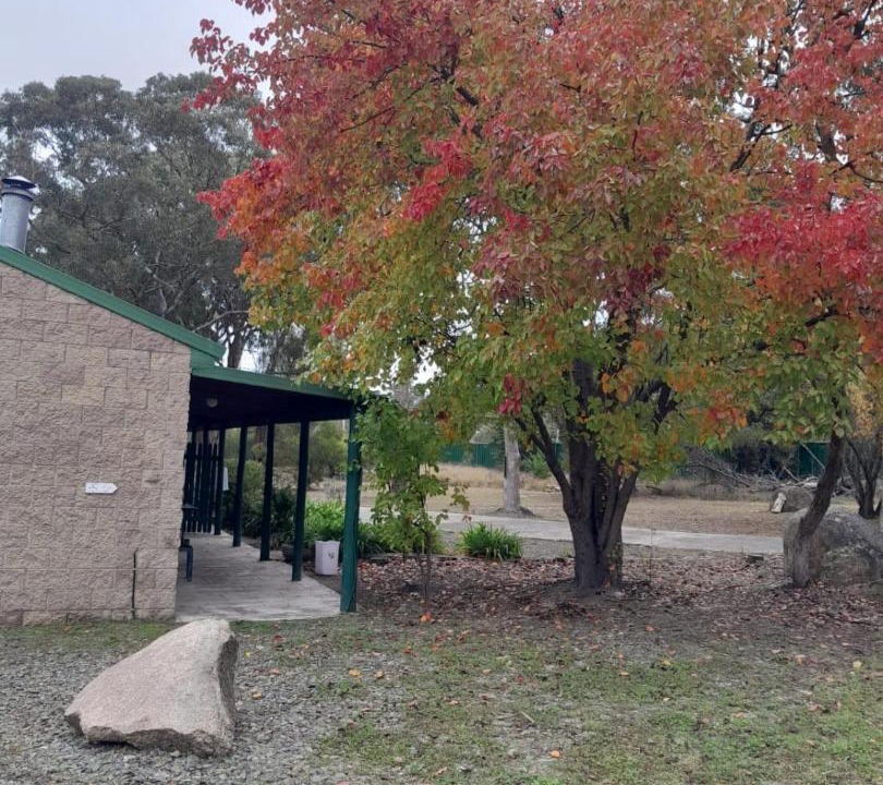 Photo of Others in Stanthorpe