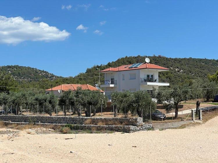 Photo of Others in Thasos