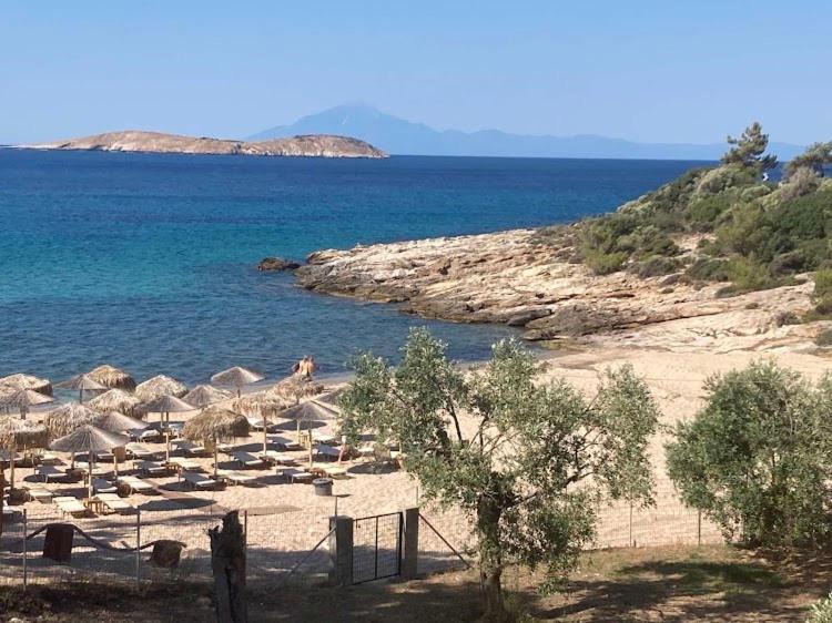Photo of Others in Thasos