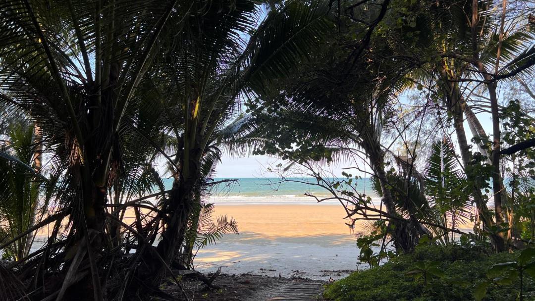 Photo of Others in Port Douglas