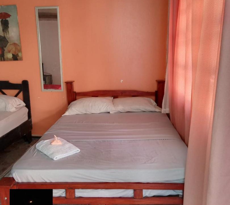 Photo of Others in Tortuguero