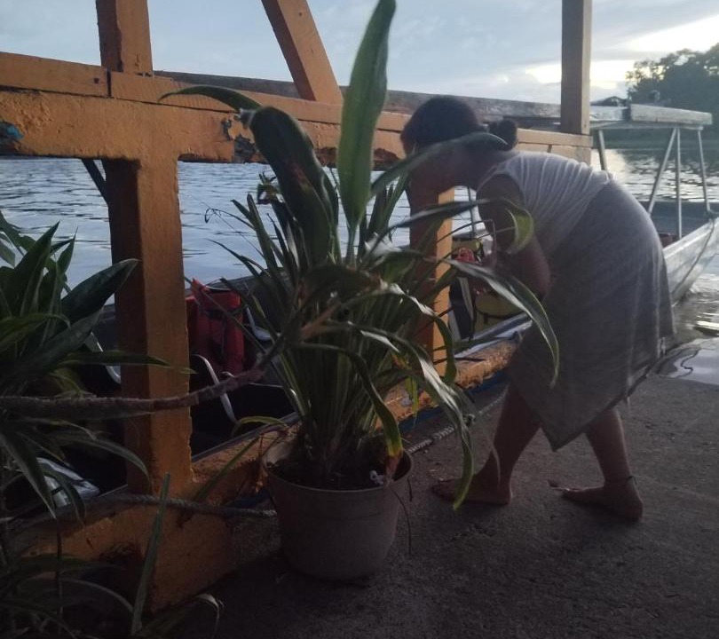 Photo of Others in Tortuguero