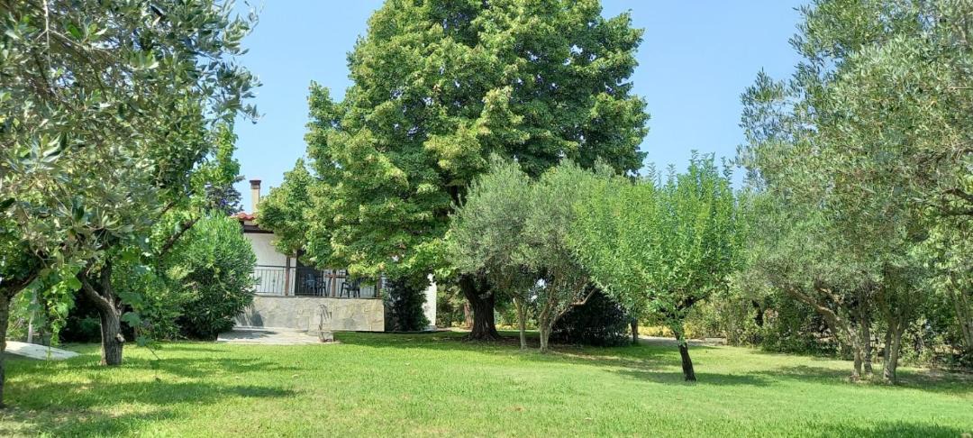 Photo of Others in Peraia