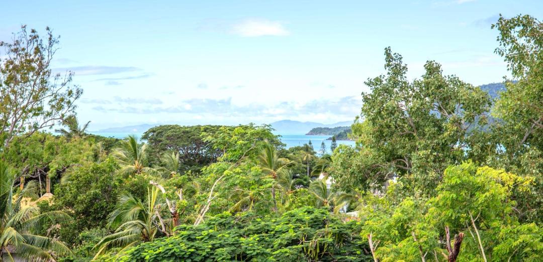 Photo of Others in Airlie Beach