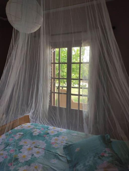 Photo of Bedroom in Okhthonia