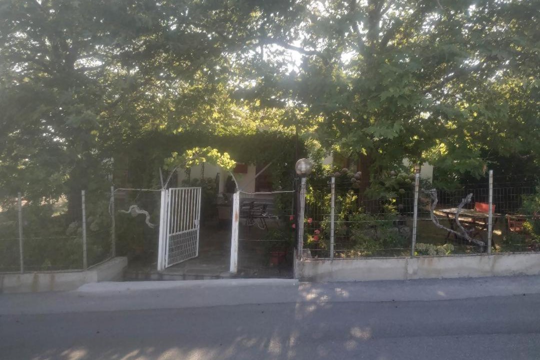 Photo of Others in Paleopoli