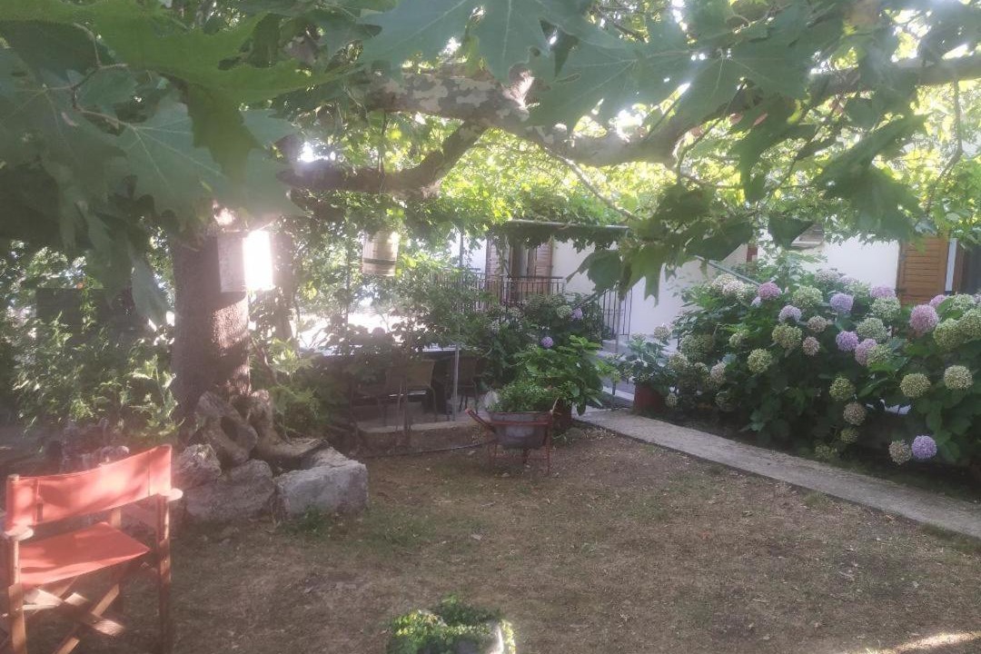 Photo of Others in Paleopoli