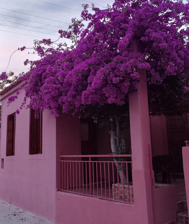 Photo of Buildings in Perdhika