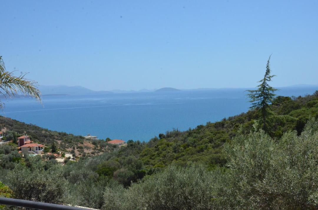 Photo of Outdoor in Kefalari