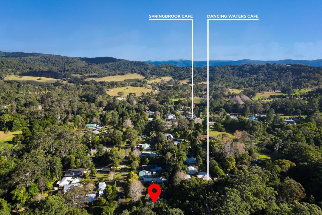 Photo of Outdoor in Springbrook