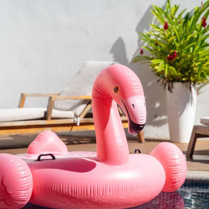 Photo of Others in Uvita