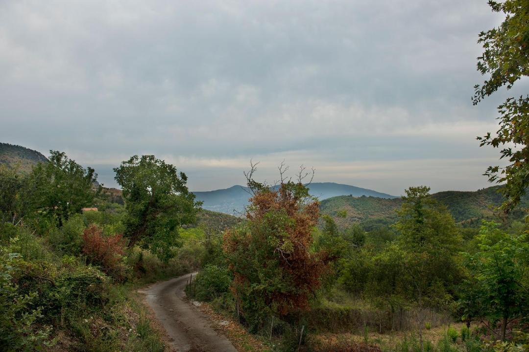 Photo of Others in Kefalochori