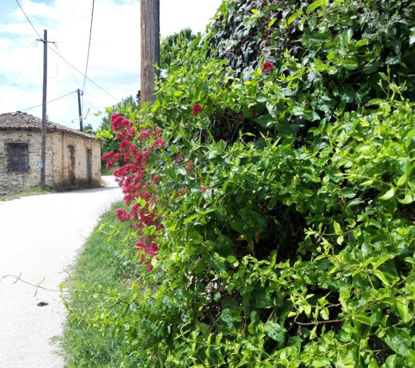Photo of Outdoor in Feneos