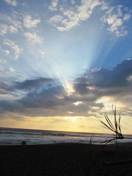 Photo of Others in Playa Hermosa